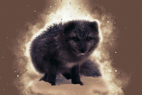 Download Printable Animal Graphics #13 - Animal graphics Collection