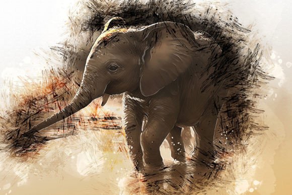 Download Printable Animal Graphics #23 - Animal graphics Collection