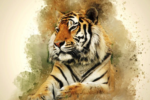 Download Printable Animal Graphics #11 - Animal graphics Collection