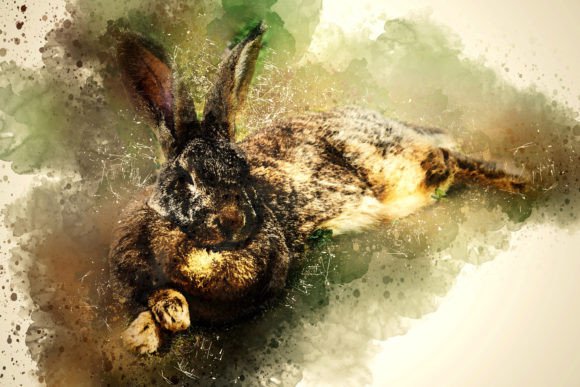 Download Printable Animal Graphics #12 - Animal graphics Collection